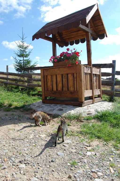 Cabana Motilor Mărişel Extérieur photo