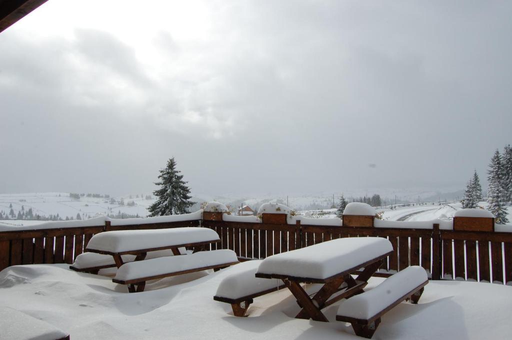 Cabana Motilor Mărişel Extérieur photo