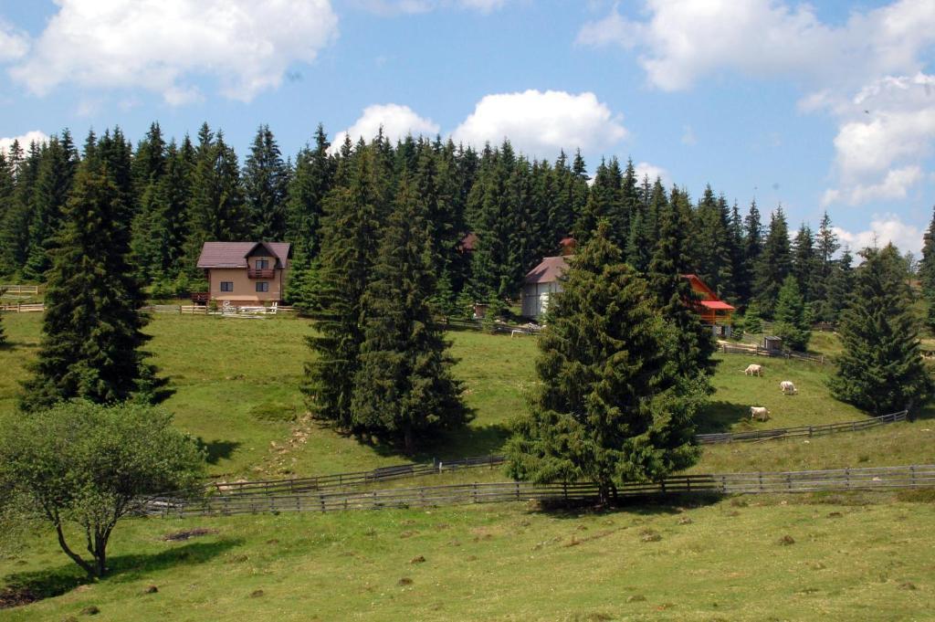 Cabana Motilor Mărişel Chambre photo