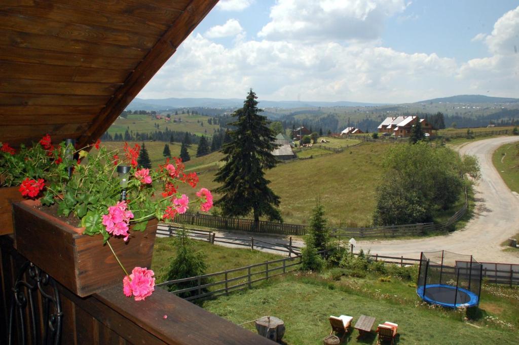 Cabana Motilor Mărişel Chambre photo